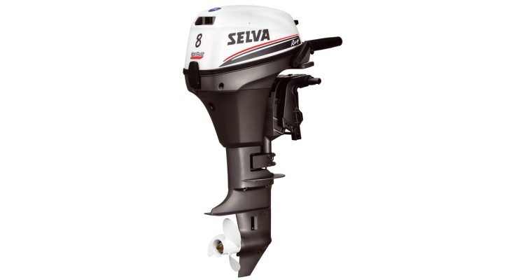 Selva Ray 8 C